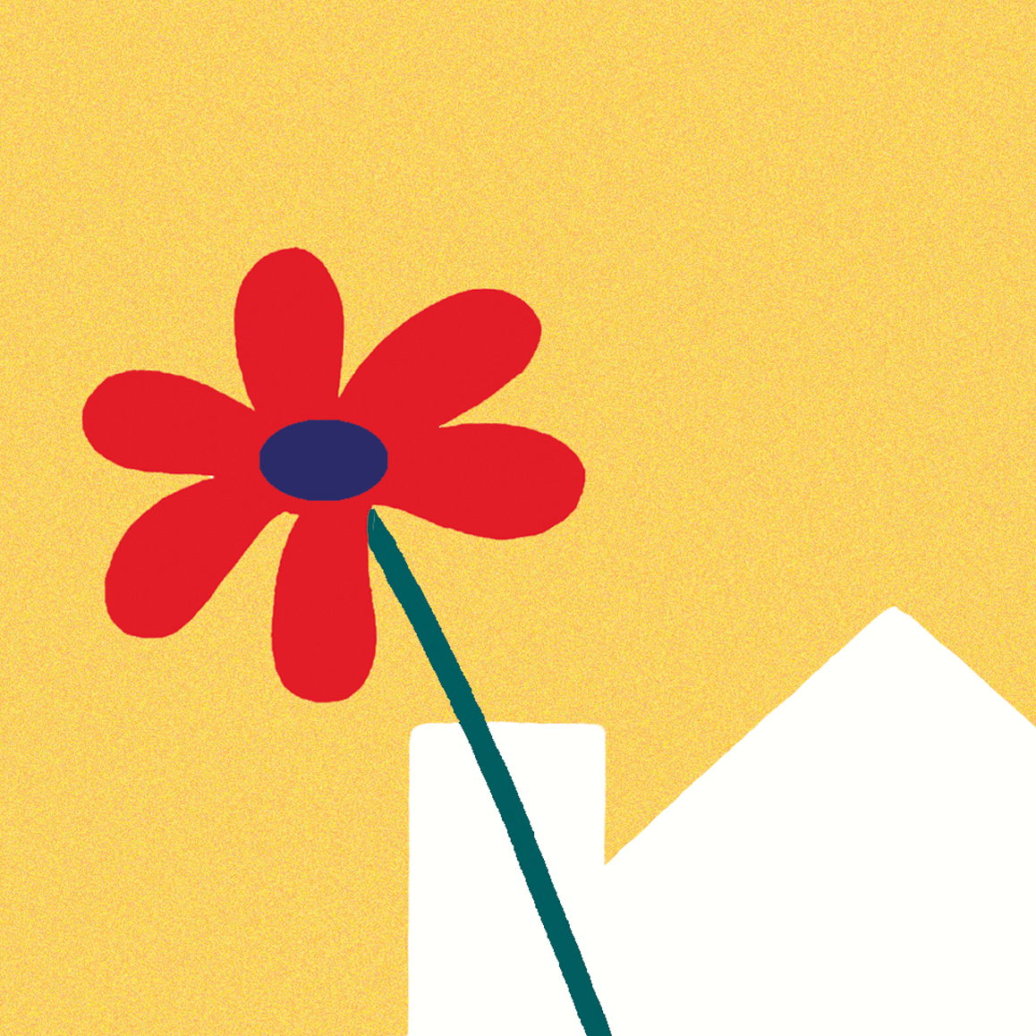 III/IV/V SCUOLA PRIMARIA