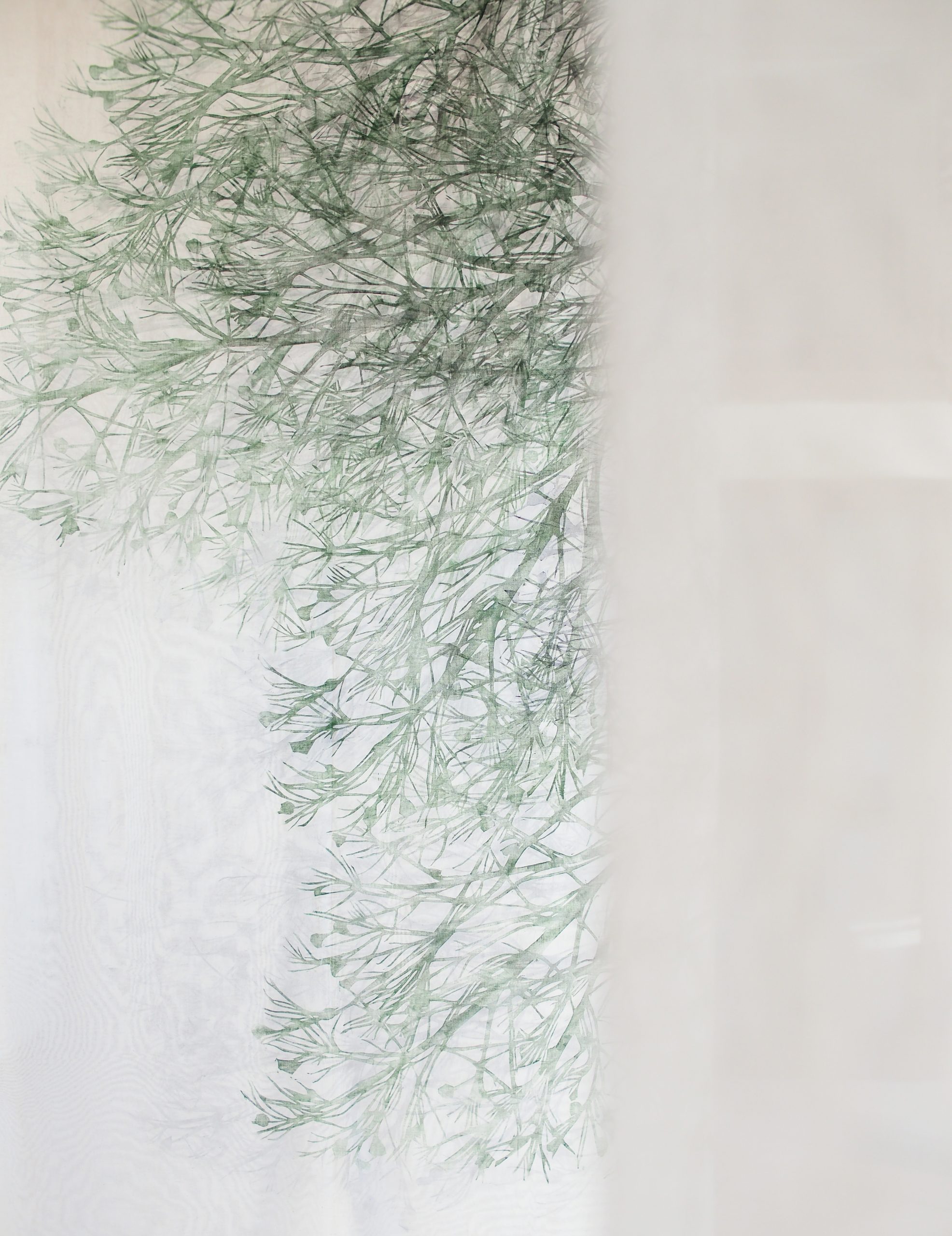 VISITA GUIDATA GRATUITA alla mostra «L’UOMO NON È CHE UNA CANNA». Fragilità e dimensione spirituale con L’artista Asako Hishiki